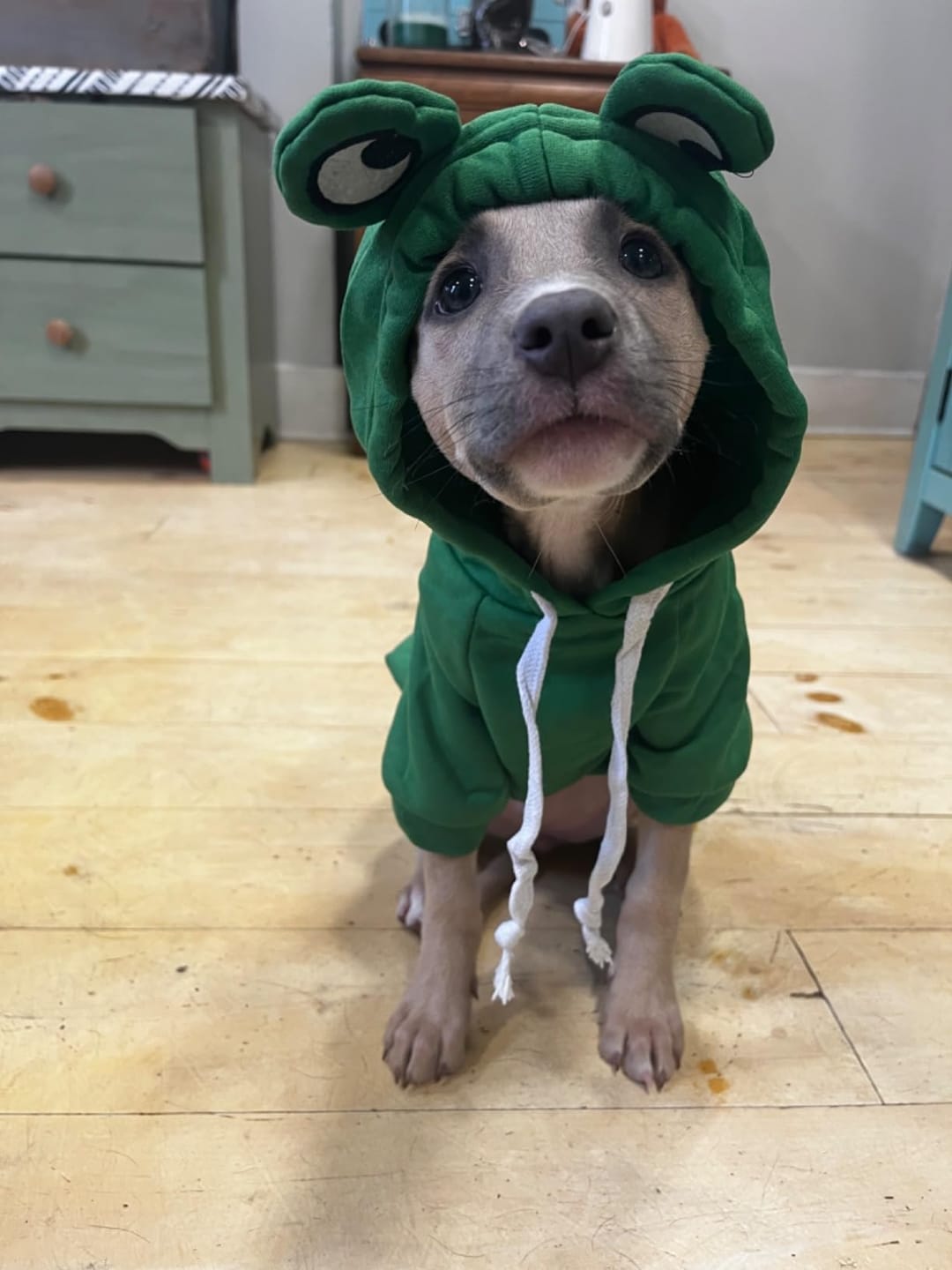 Customer photo review of Frog Hoodie Fleece Sweater