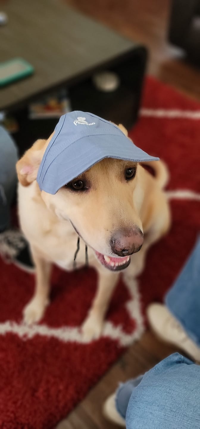 Customer photo review of Baseball Visor Hat