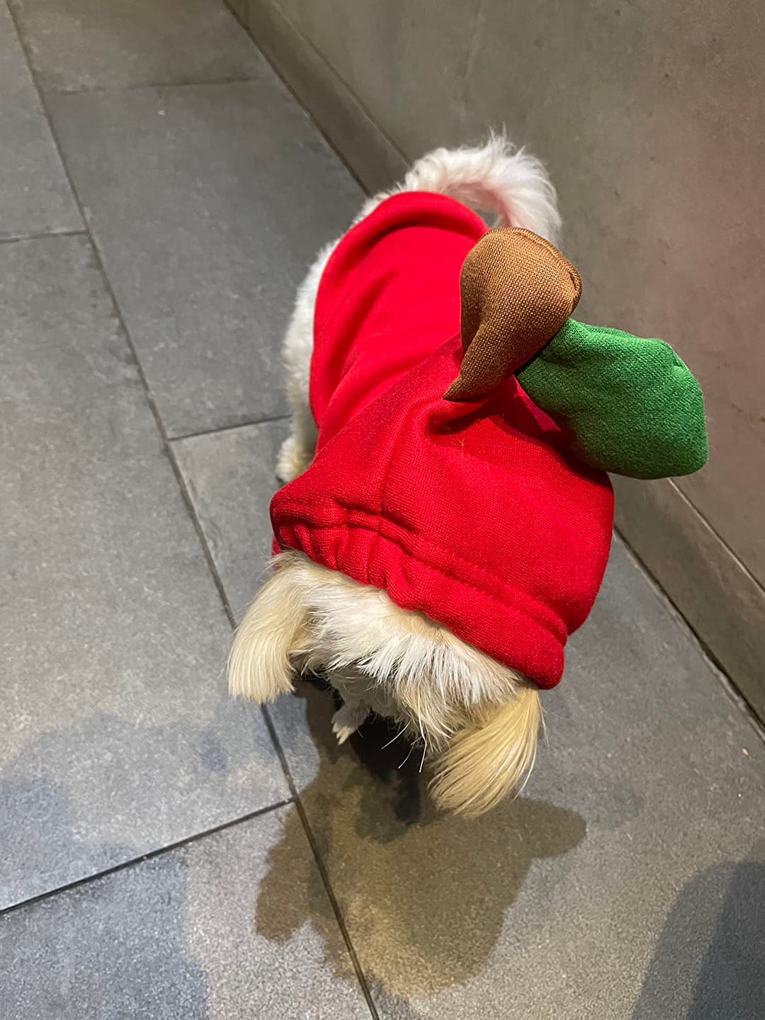 Customer photo review of Frog Hoodie Fleece Sweater