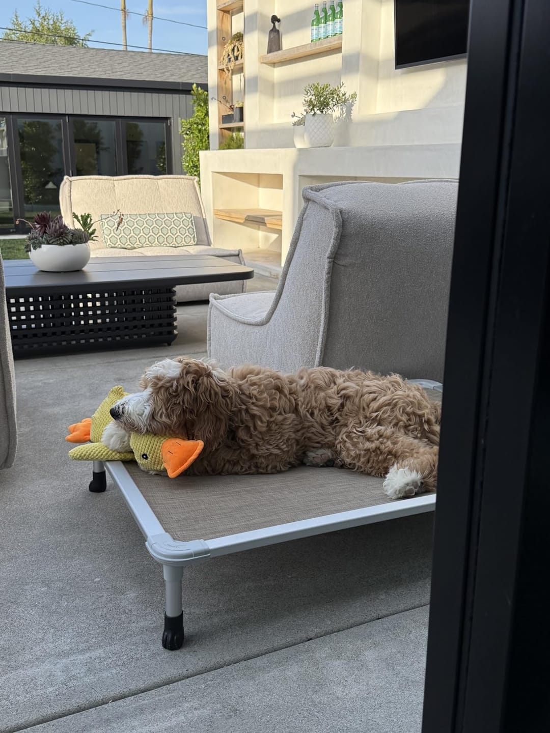 Customer photo review of [BEST SELLER] Calming Duck Dog Toy