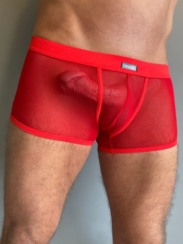 Customer photo review of Men's Sexy Transparent Mesh Trunks