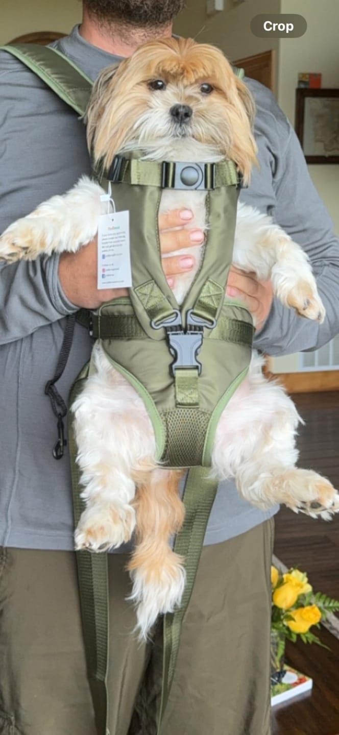 Customer photo review of DOGLEMI Hands-Free Carrier Backpack