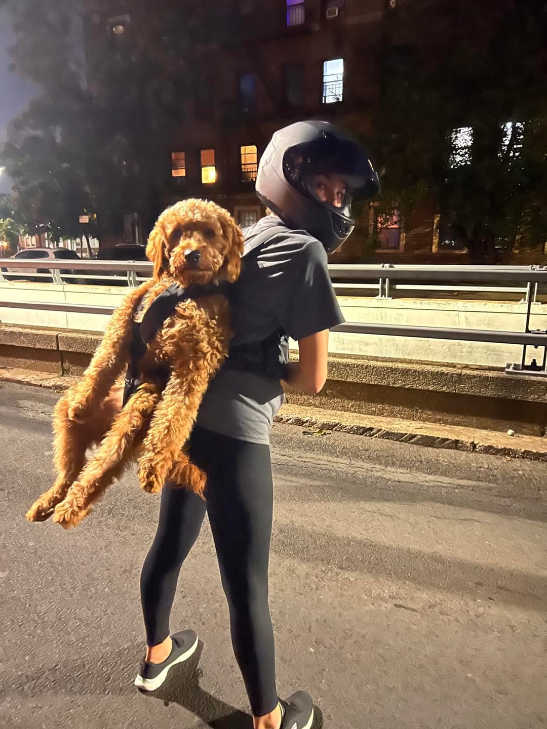 Customer photo review of DOGLEMI Hands-Free Carrier Backpack