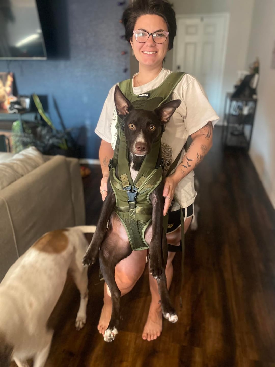 Customer photo review of DOGLEMI Hands-Free Carrier Backpack