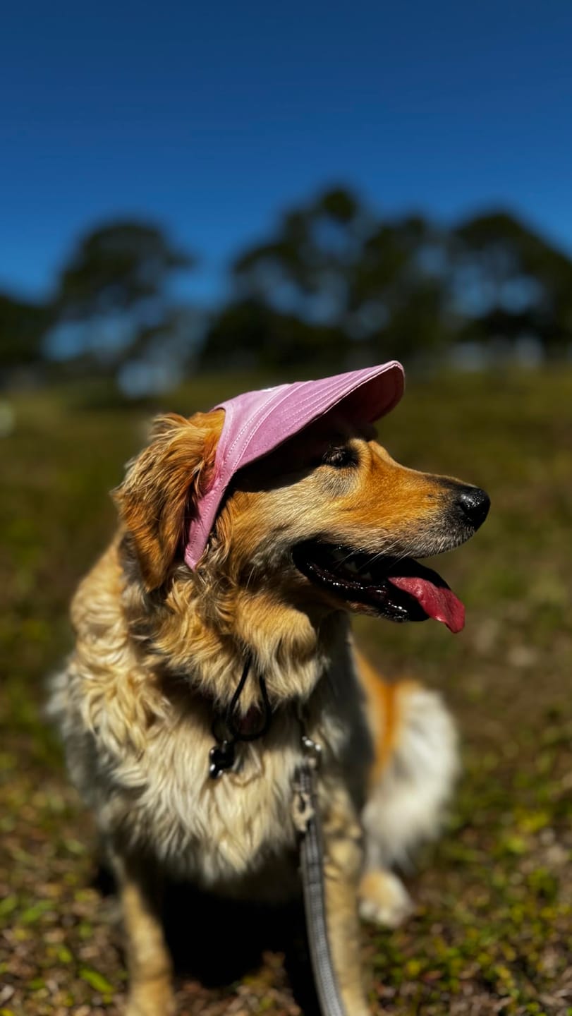 Customer photo review of Baseball Visor Hat