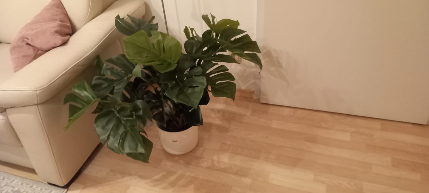 Customer photo review of Monstera Kunstpflanze 65cm