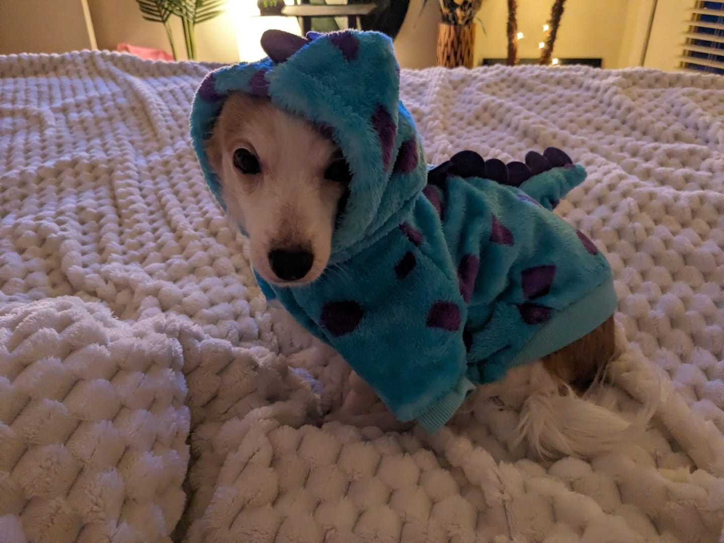 Customer photo review of Dinosaur Bodysuit costume