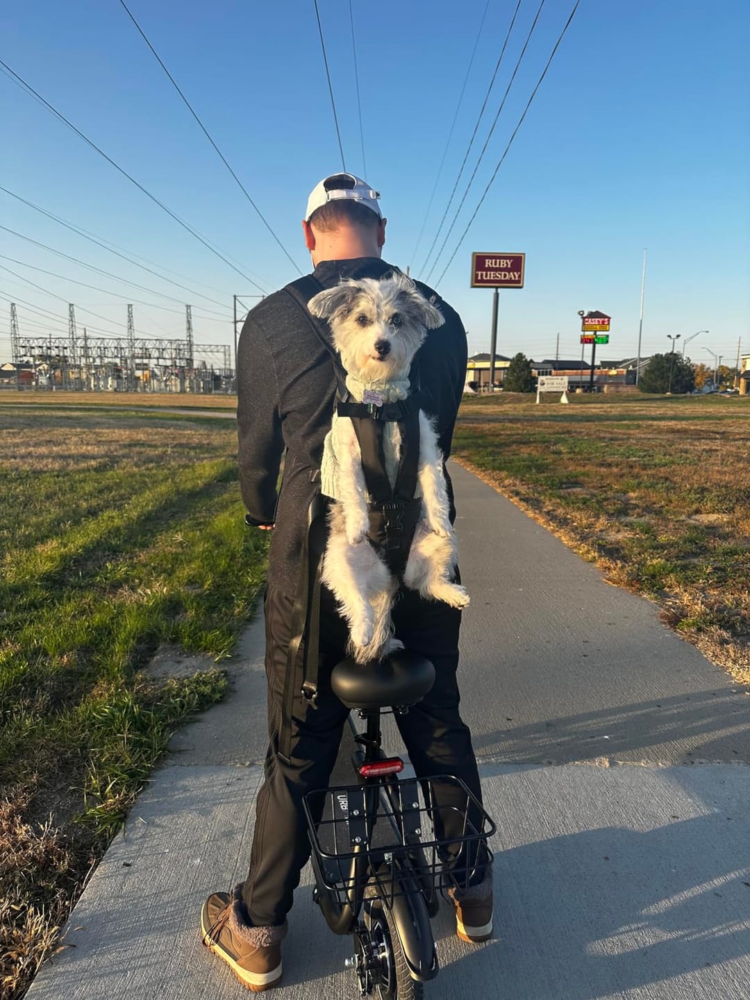 Customer photo review of DOGLEMI Hands-Free Carrier Backpack