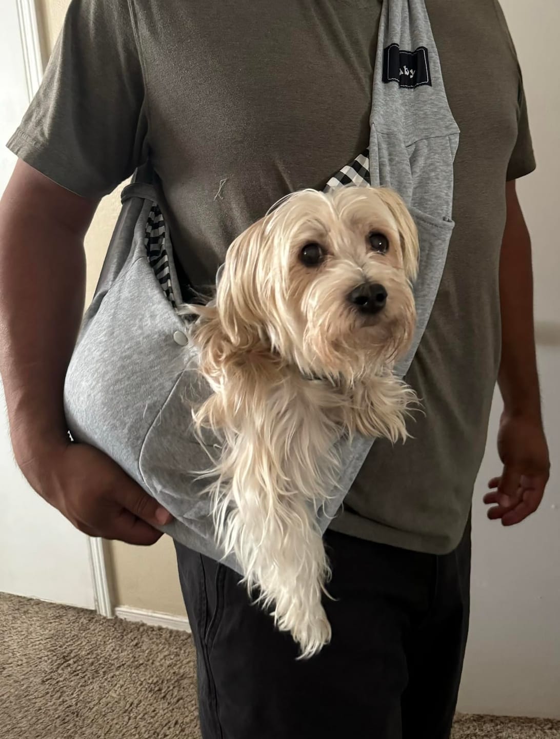 Customer photo review of Foldable Carrier Bag