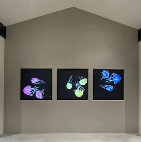 Customer photo review of Canvalight® Leuchtbild | Eigenes Motiv | Quadrat