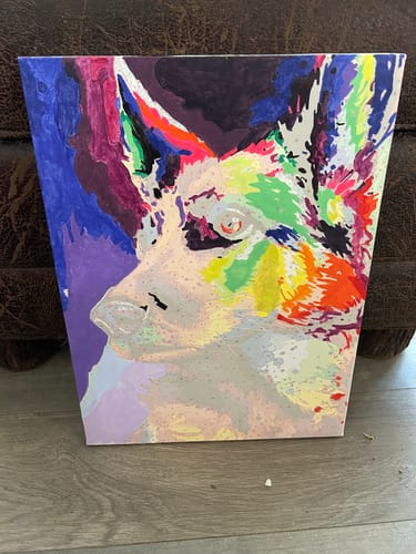 Customer photo review of Custom Paint by Numbers Kit for Personalized Artwork