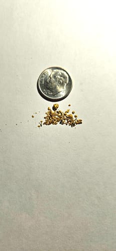Customer photo review of Colorado Gold Paydirt - 4 pounds