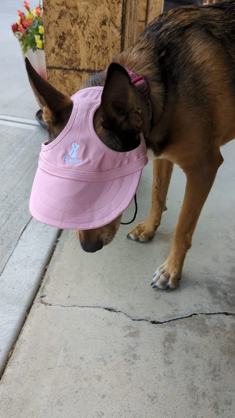 Customer photo review of Baseball Visor Hat