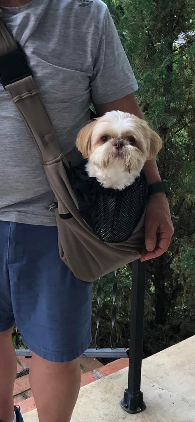 Customer photo review of Foldable Carrier Bag