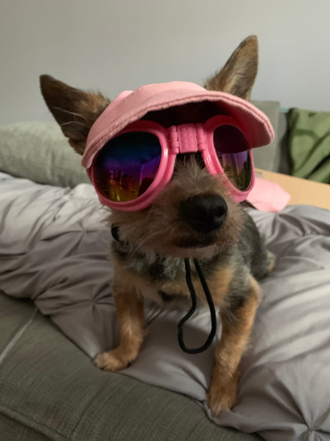 Customer photo review of Baseball Visor Hat
