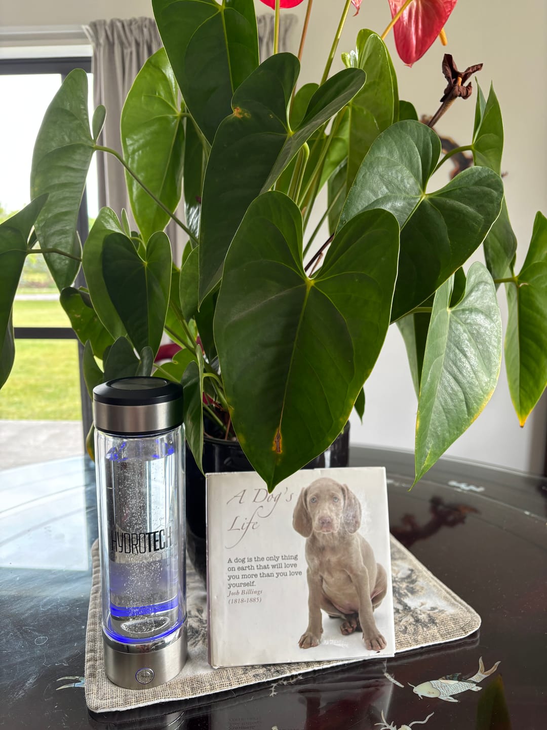 Customer photo review of Hydrogen Water Bottle
