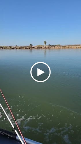 Customer video review of Suzuki 6 HP Outboard Motor - Model DF6ASW5