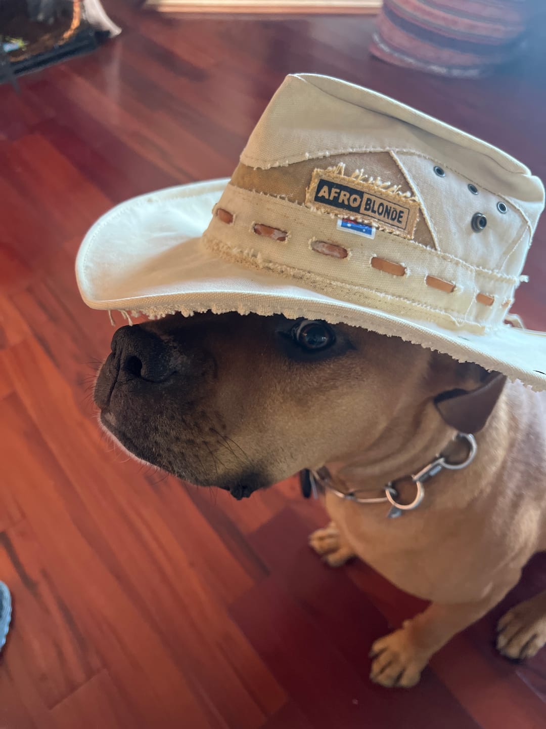 Customer photo review of Digger Hat