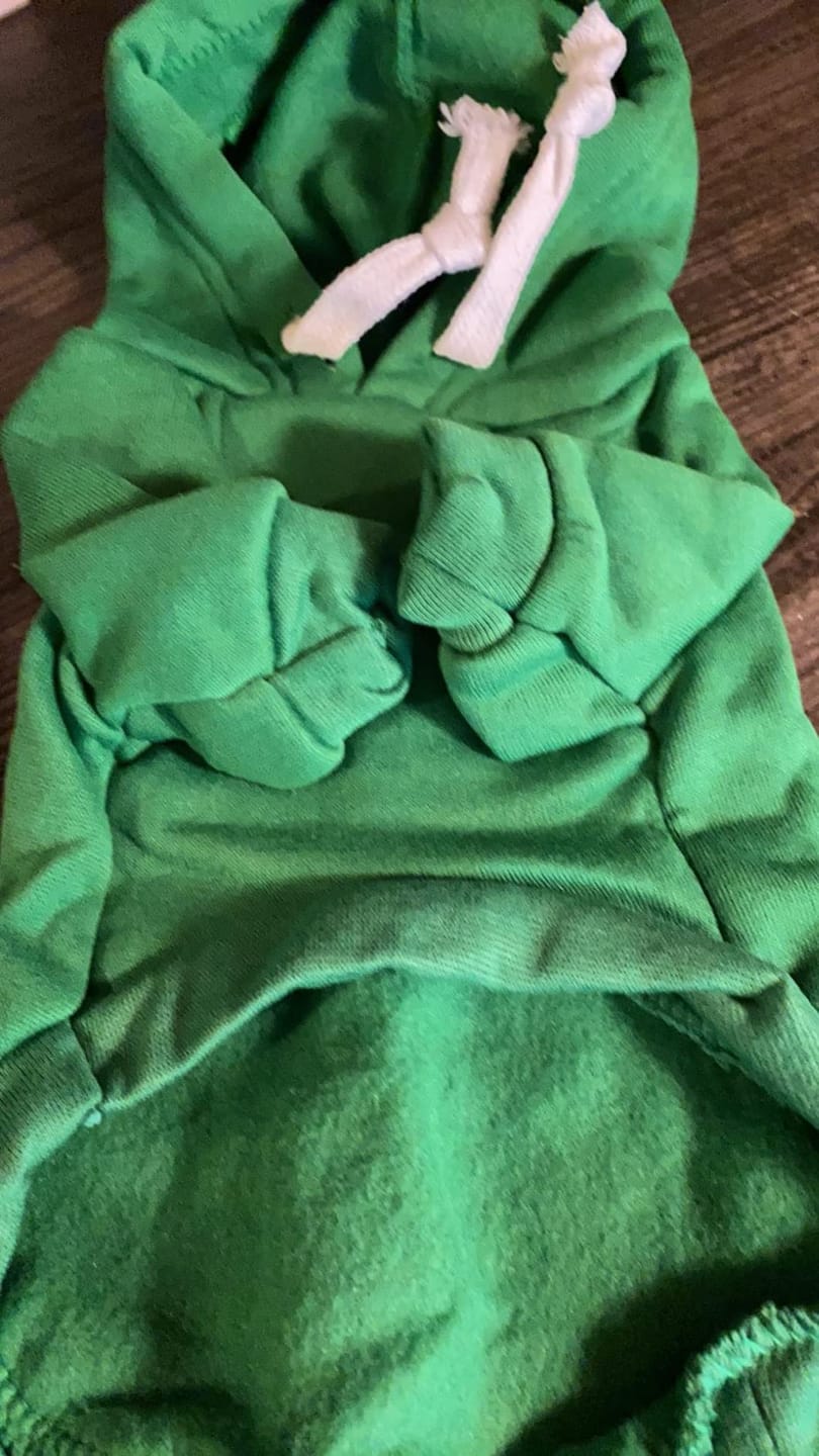 Customer photo review of Frog Hoodie Fleece Sweater