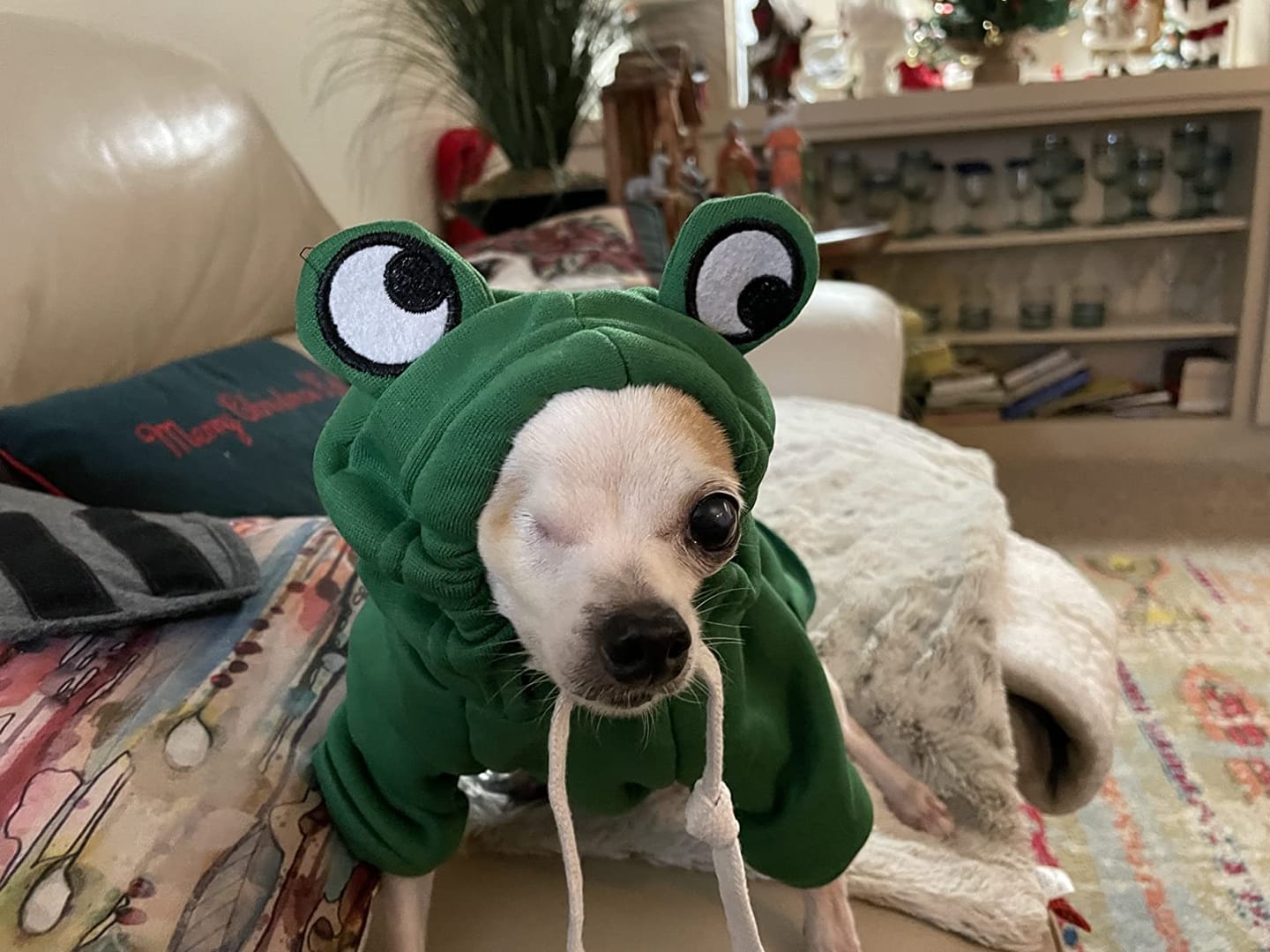 Customer photo review of Frog Hoodie Fleece Sweater