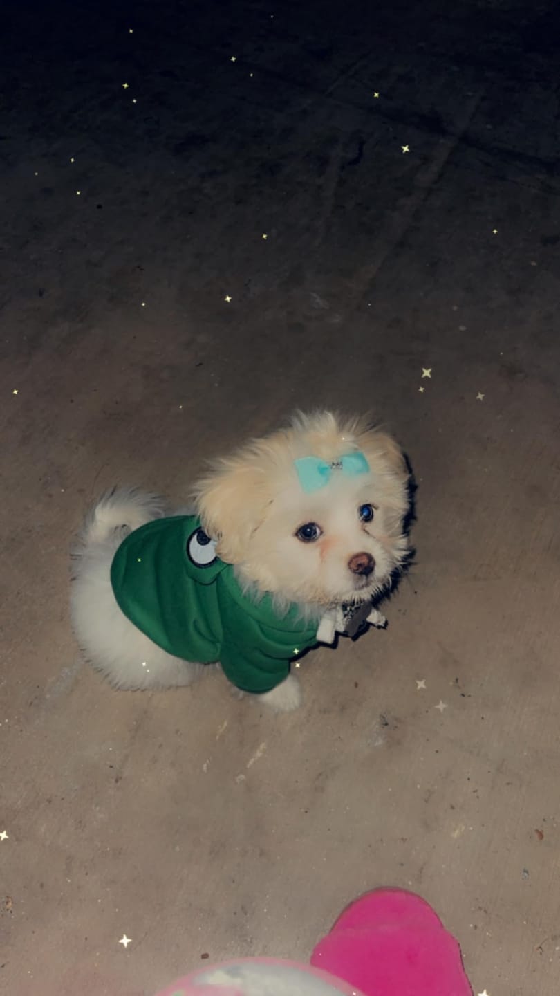 Customer photo review of Frog Hoodie Fleece Sweater