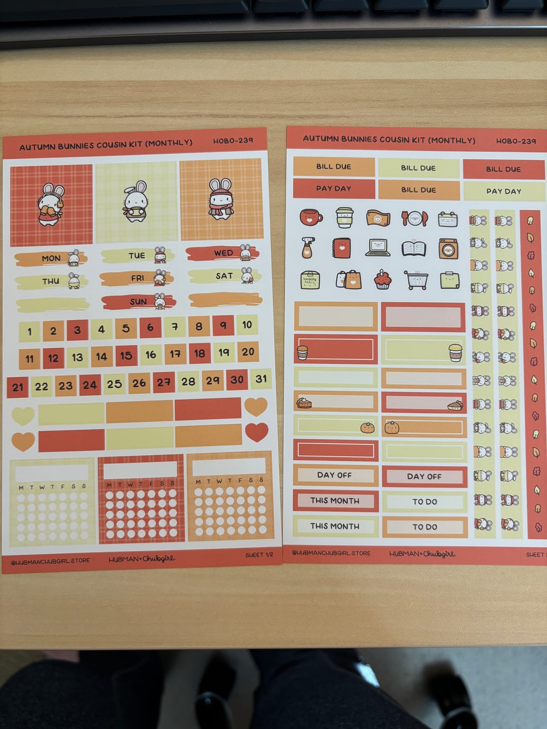 Customer photo review of Autumn Bunnies Hobonichi Cousin Monthly Kit (Set of 2)