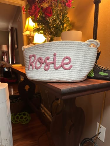 Customer photo review of Basket Size
