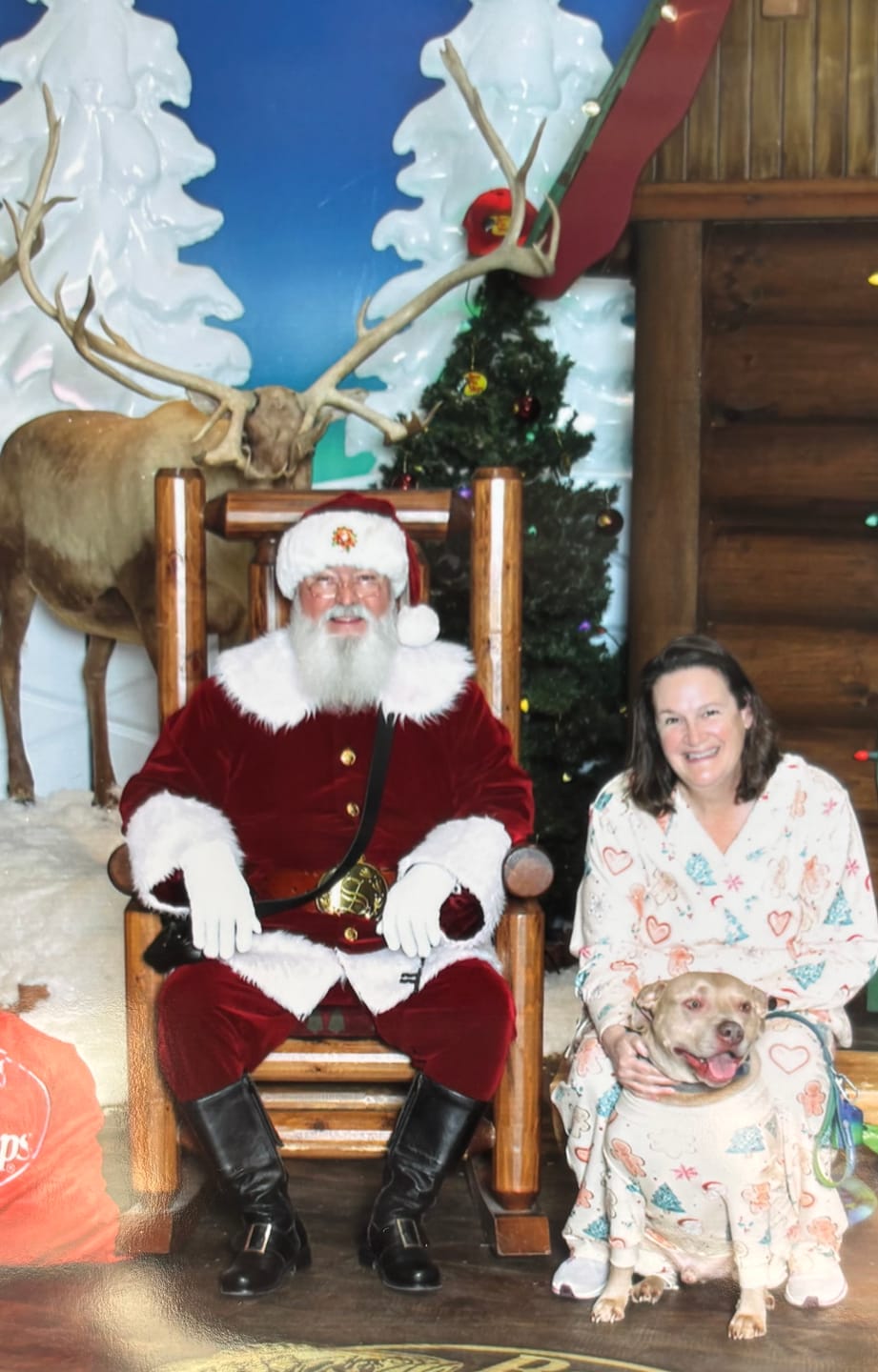 Customer photo review of Dog Christmas Pajama - Frosty Night