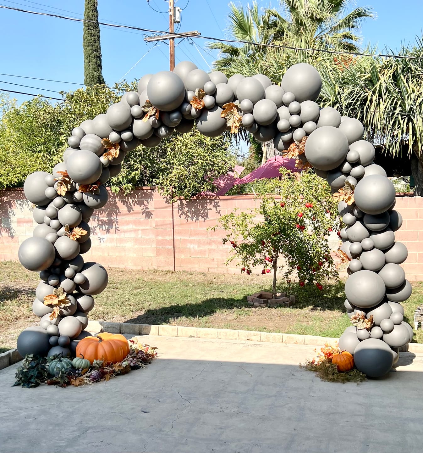 Customer photo review of 10x8 Ft Aluminum Balloon Arch Frame Wedding Arch Stand