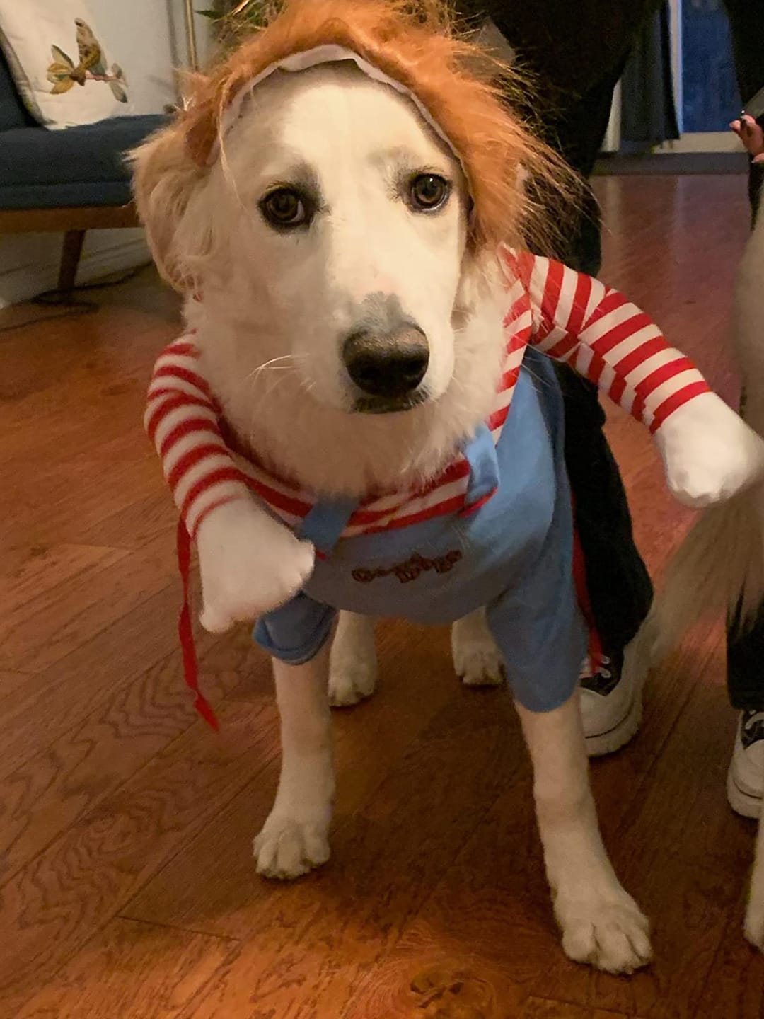 Customer photo review of Overalls with Knife Holder costume