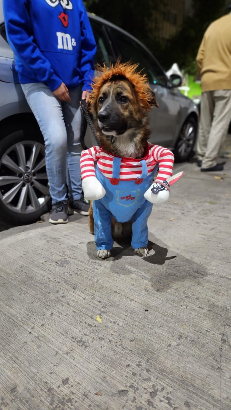 Customer photo review of Overalls with Knife Holder costume