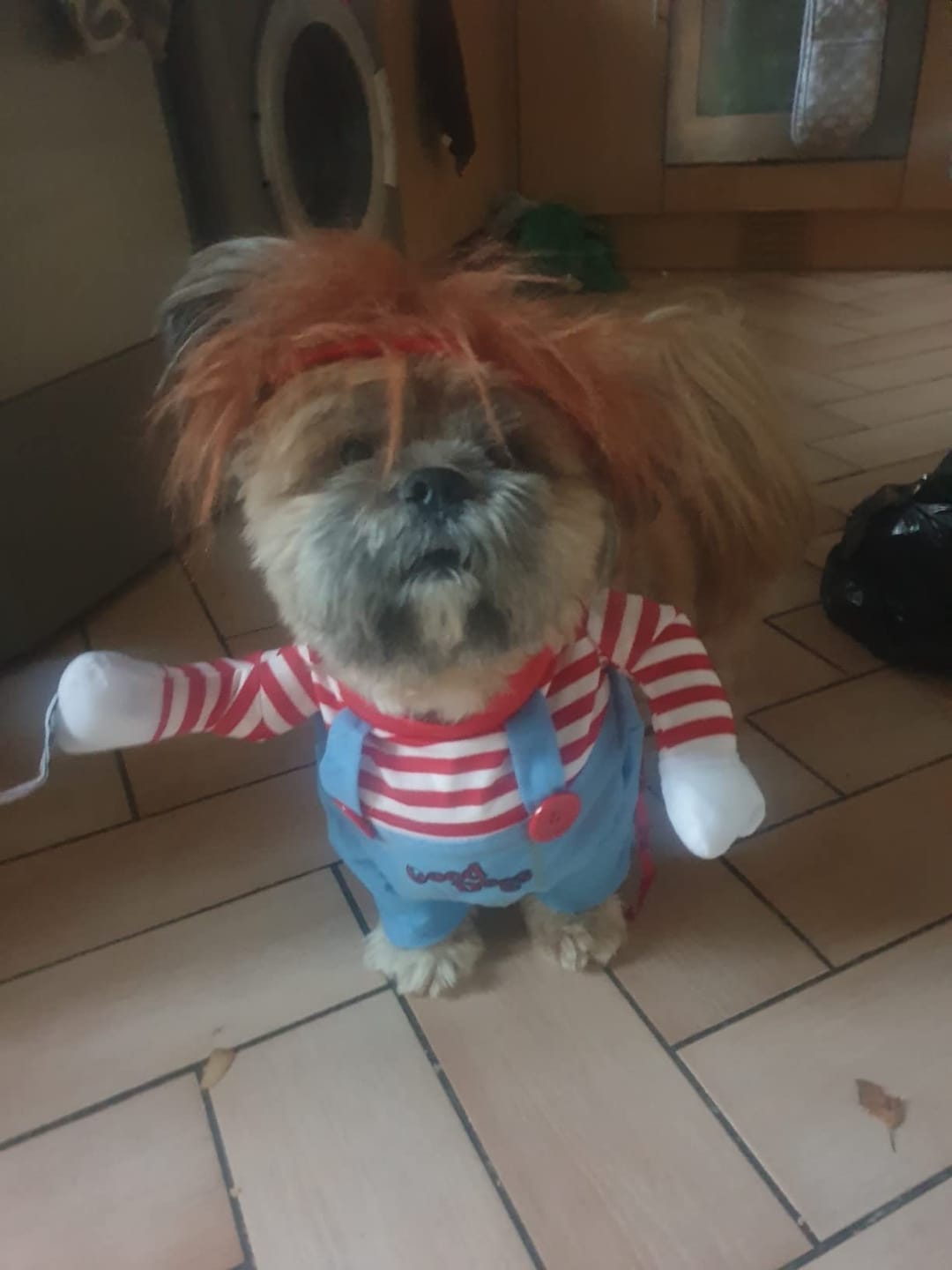 Customer photo review of Overalls with Knife Holder costume