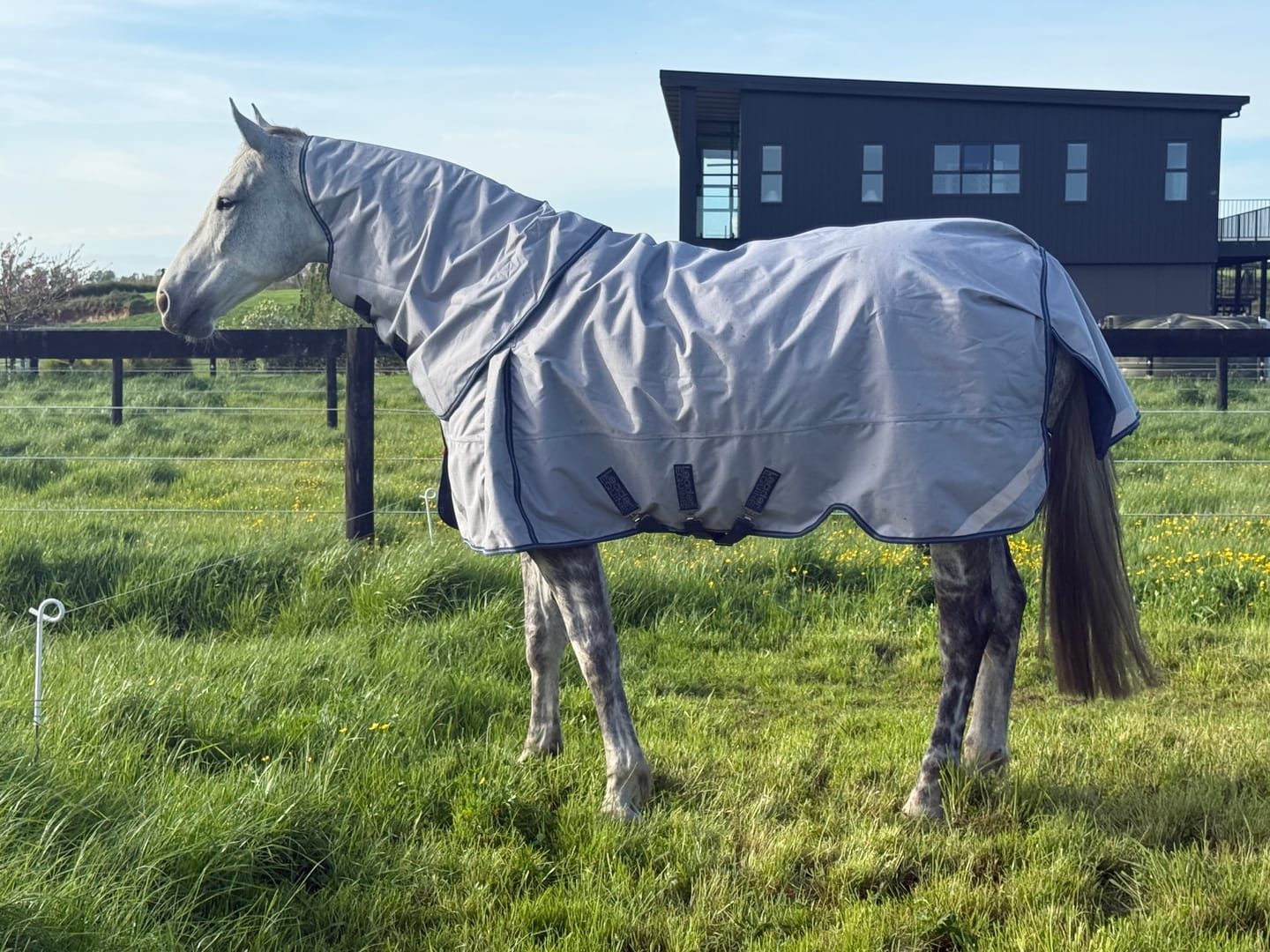 Customer photo review of LE Boxter Turnout Ripstop 50g