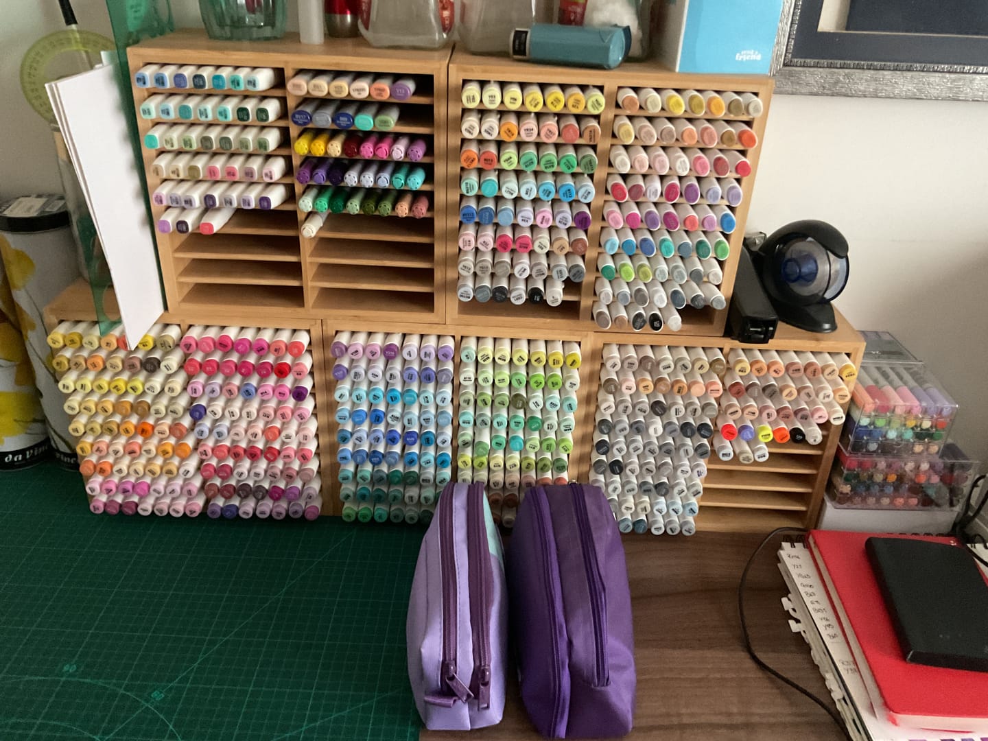 Customer photo review of Ohuhu Kaala Dual Tips Alcohol Art Markers- 60 Colors Illustrations