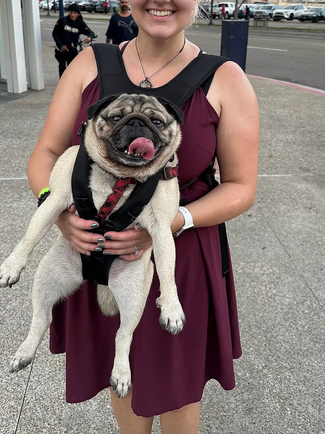 Customer photo review of DOGLEMI Hands-Free Carrier Backpack