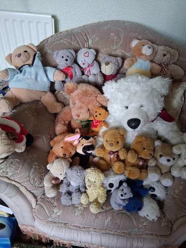 Customer photo review of Woof Woof the Dog