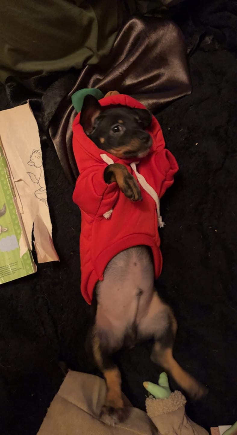 Customer photo review of Frog Hoodie Fleece Sweater