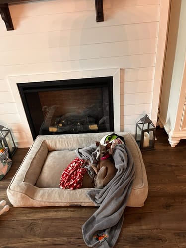 Customer photo review of FurLife Shipping Protection