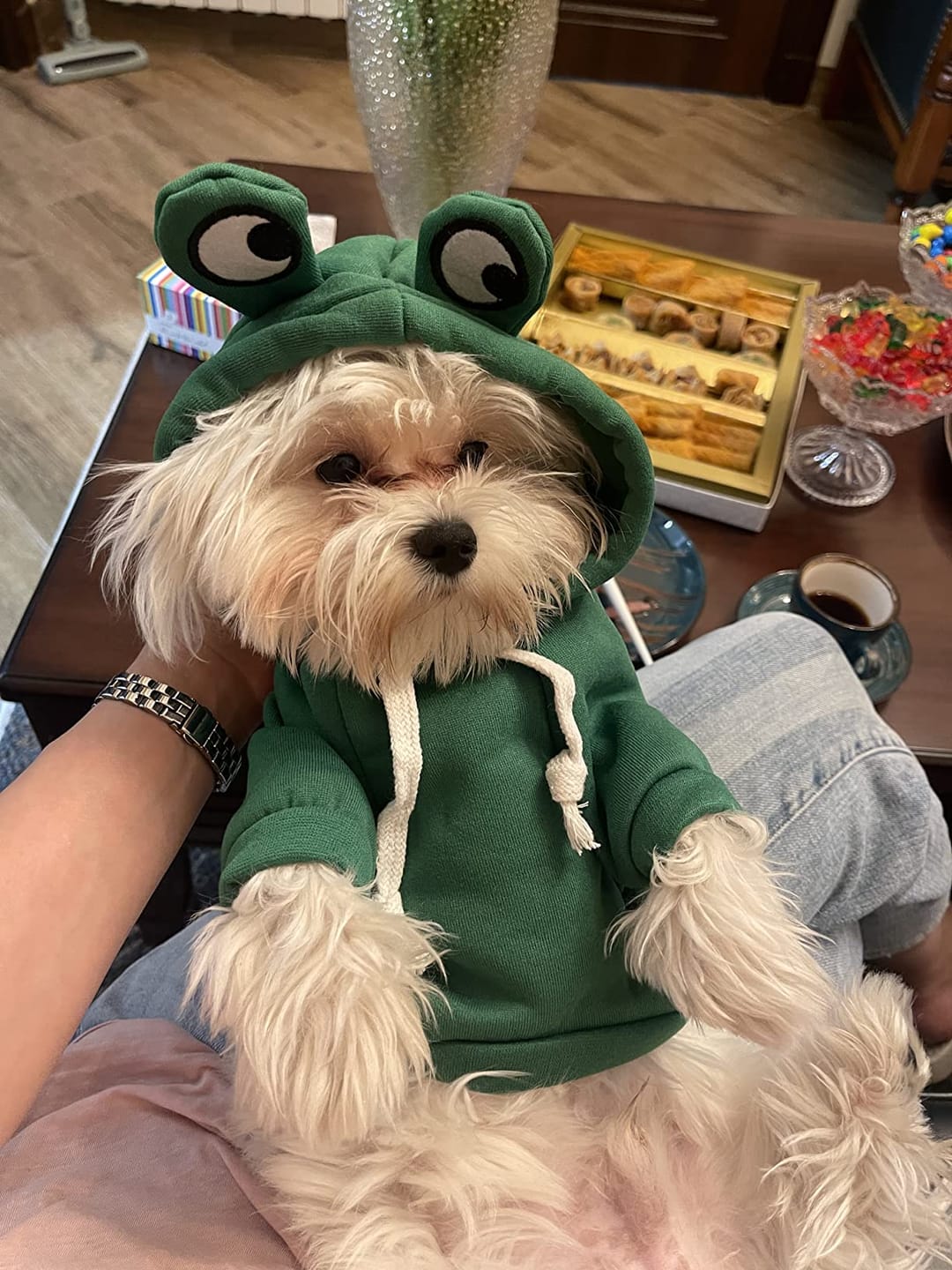 Customer photo review of Frog Hoodie Fleece Sweater