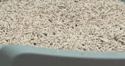 Customer photo review of Michu Mixed Tofu Cat Litter Lite 6L – Flushable, Eco-Friendly & Odour Control