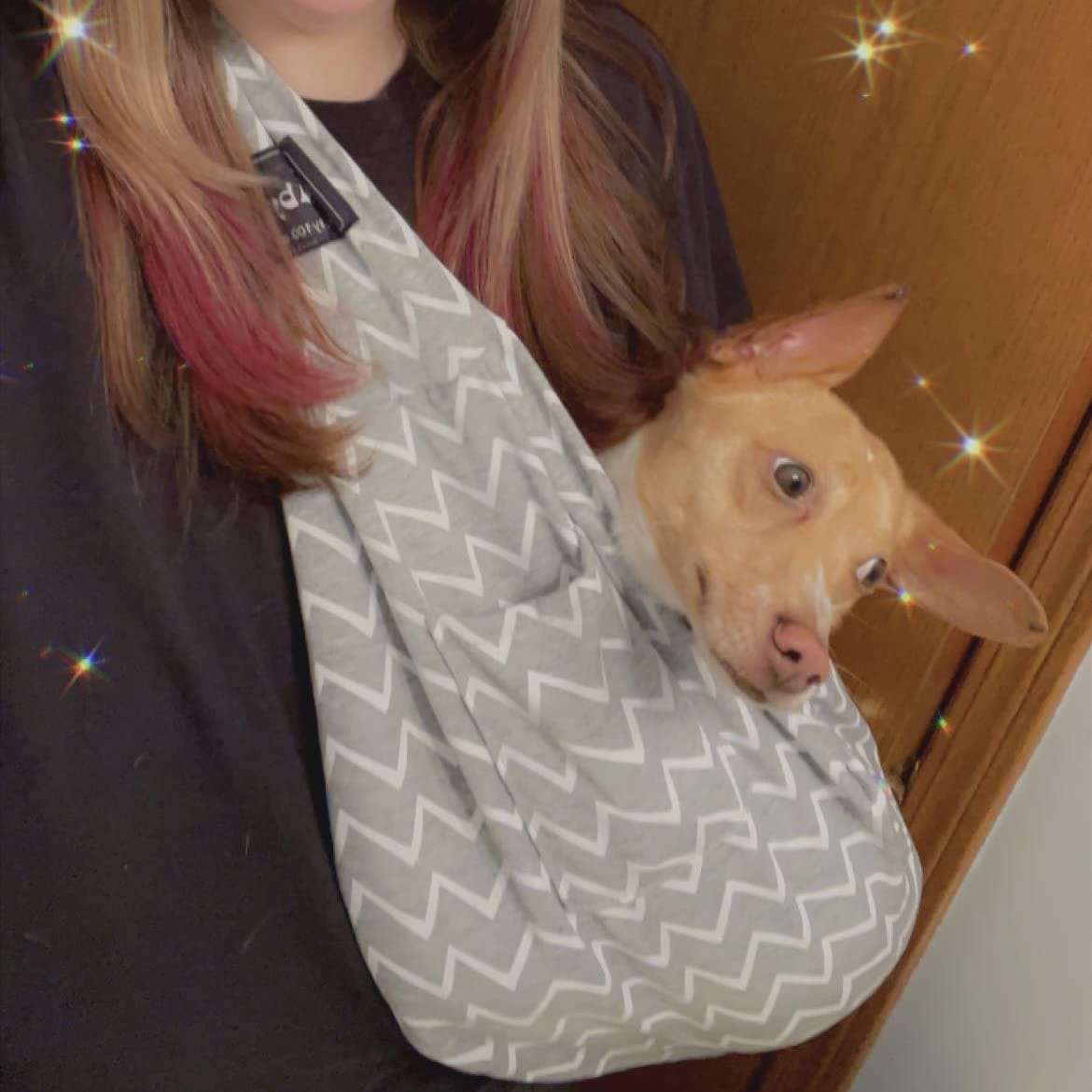 Customer photo review of Foldable Carrier Bag
