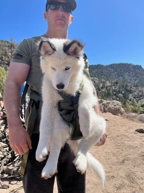 Customer photo review of DOGLEMI Hands-Free Carrier Backpack