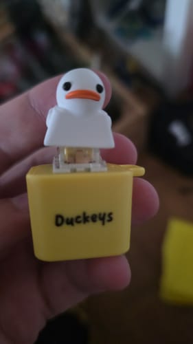 Customer photo review of Quackey - Fidget Toy that Quacks!