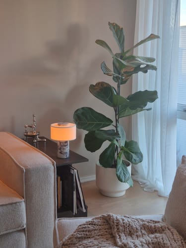 Karoline Bakken V. review of Auríe Portable Lamp | Calacatta Viola Marble & Linen image 1 out of 1