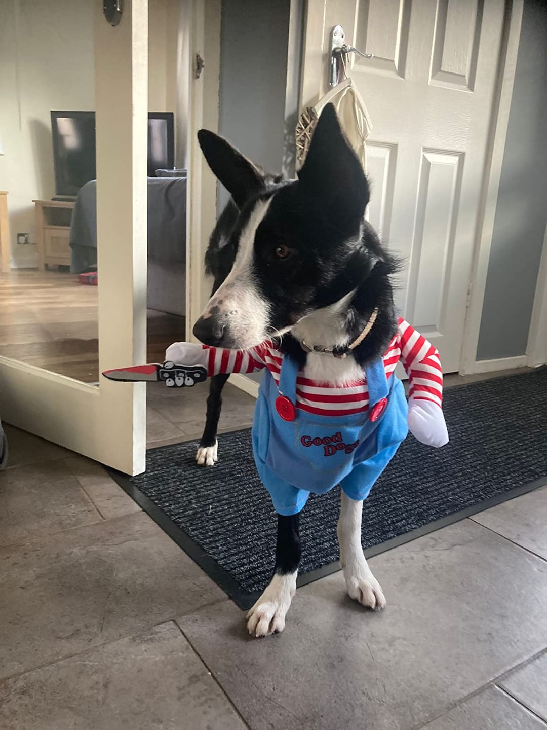 Customer photo review of Overalls with Knife Holder costume