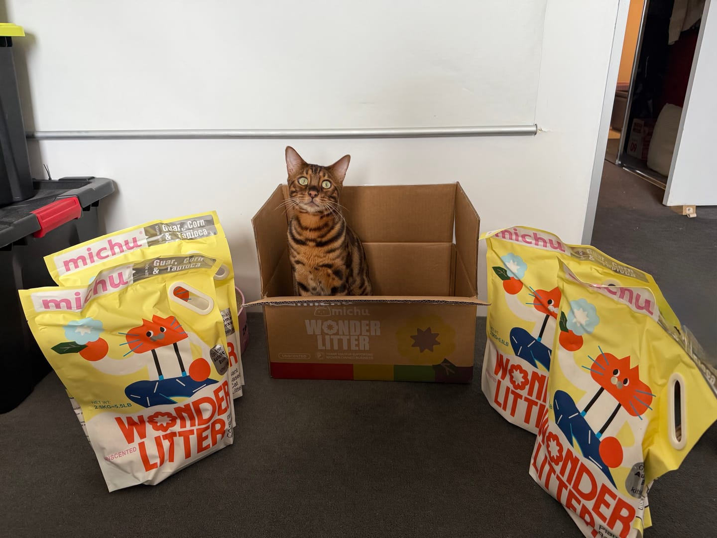 Customer photo review of Michu Wonder Litter - Plant-Based & Automatic-Box Friendly 2.5kg/6L