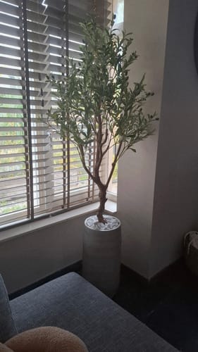 Customer photo review of Kunst Olijfboom 150cm (lichte stam)