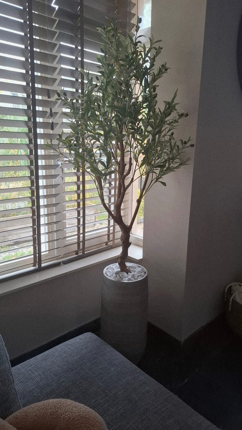 Customer photo review of Kunst Olijfboom 150cm (lichte stam)