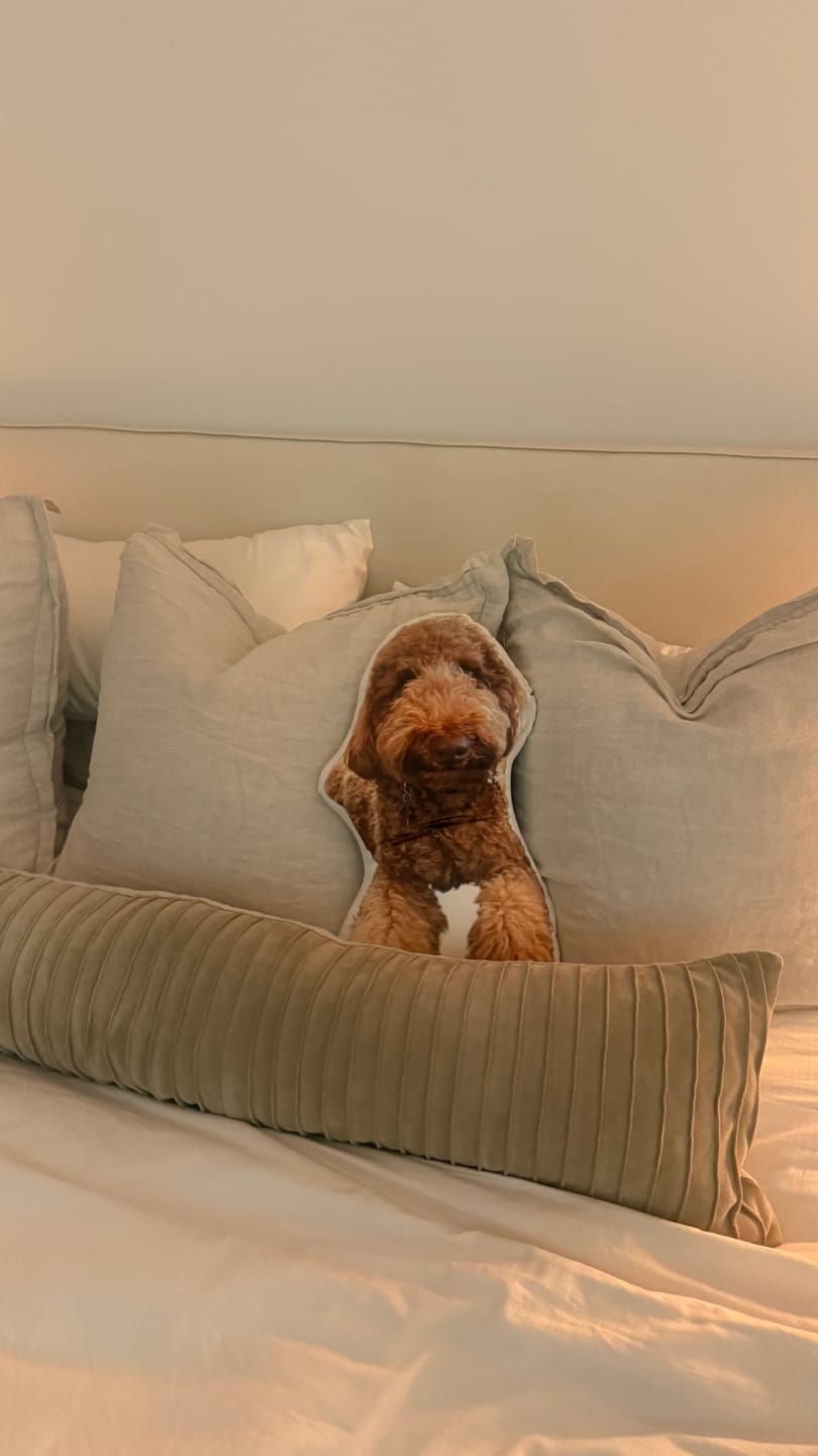 Customer photo review of Custom Dog Shaped Memorial Pillow for Pet Owners from Your Pet Picture