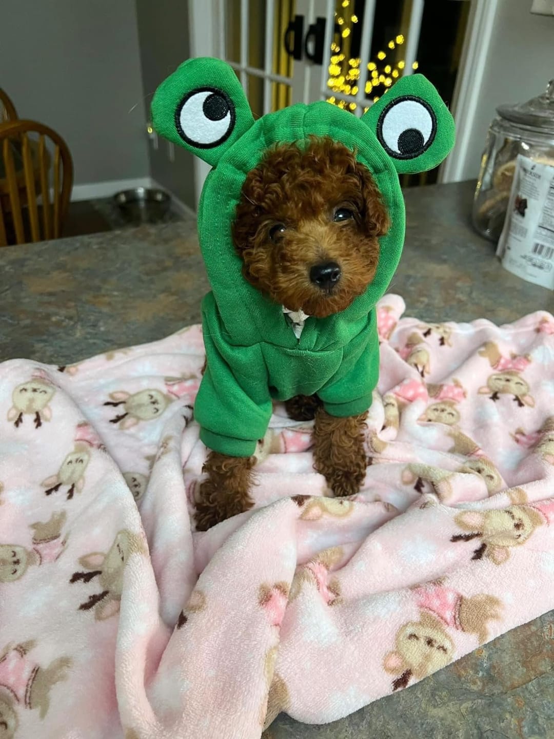 Customer photo review of Frog Hoodie Fleece Sweater
